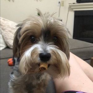 Meet your Posher, Norma